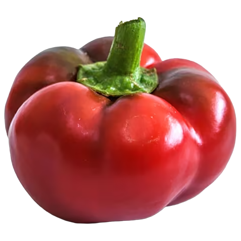 Ashe County Pimento Peppers
