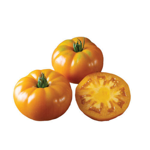 Brandywine Yellow Tomatoes