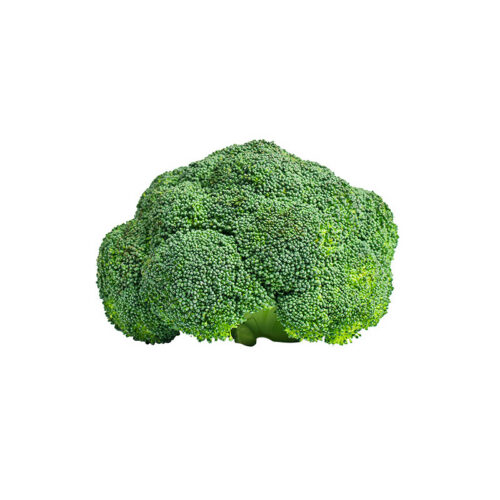 Broccoli