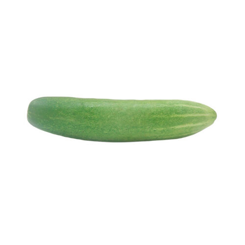 Long Green Cucumbers