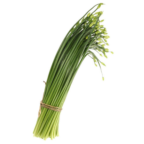 Garlic Chives