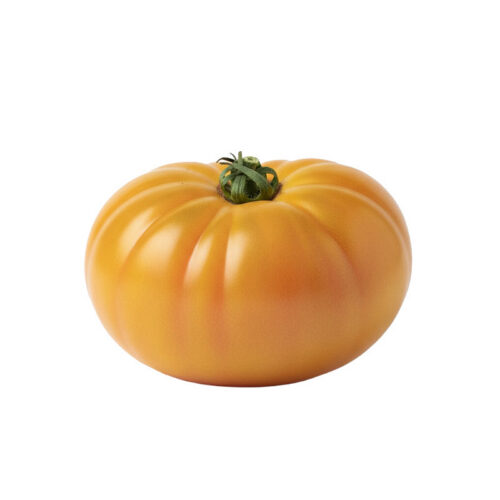 Golden Cherokee Tomatoes