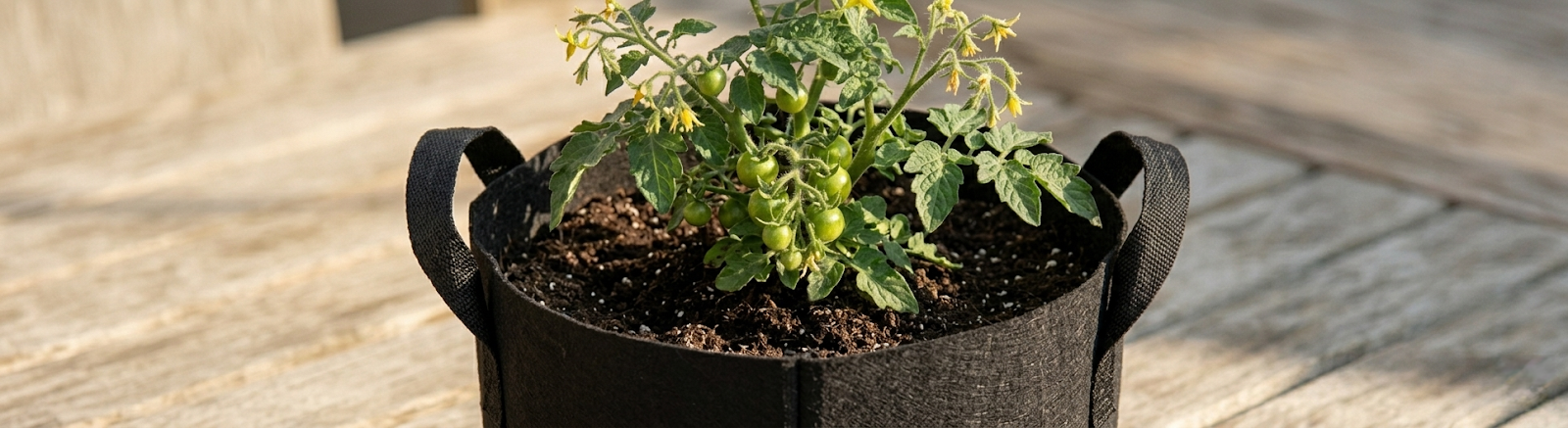 Garden Kit
