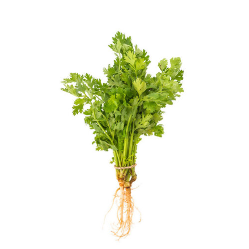 Parsley