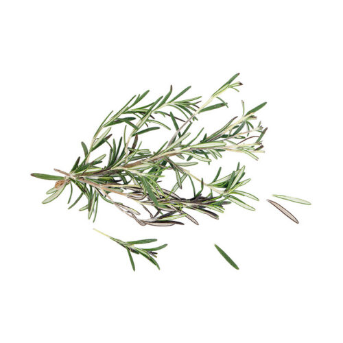 Rosemary