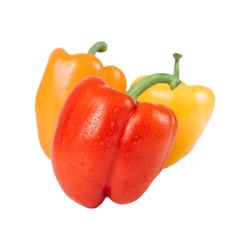 Scotch Bonnet Peppers