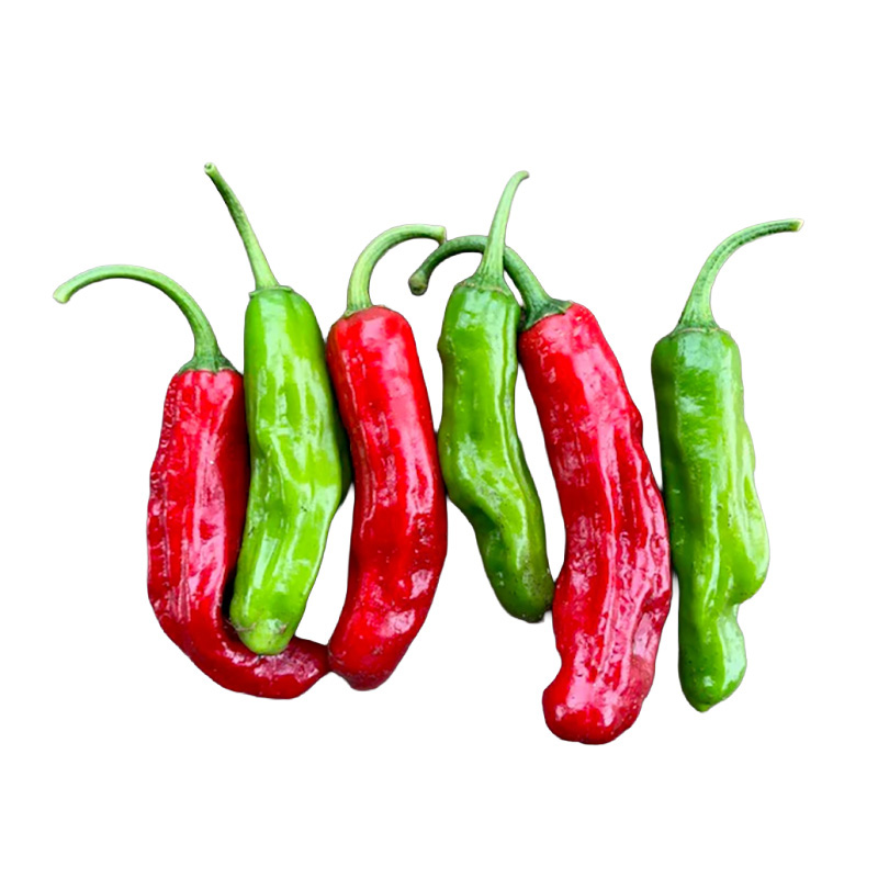 Shishito Peppers