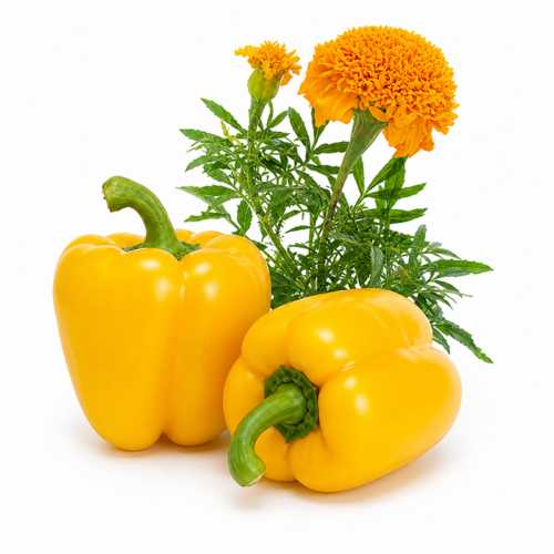 Pepper Garden Kit